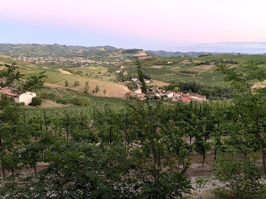 Apart-Agriturismo "La Colomba" Nizza Monferrato Kültér fotó